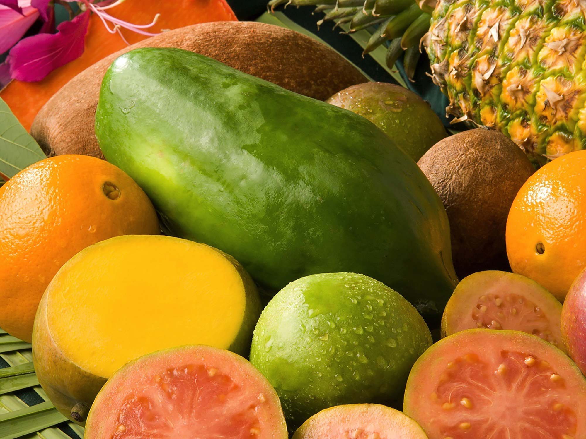 Mangos and Papayas Versus your Body Travel Buddies 4 Life