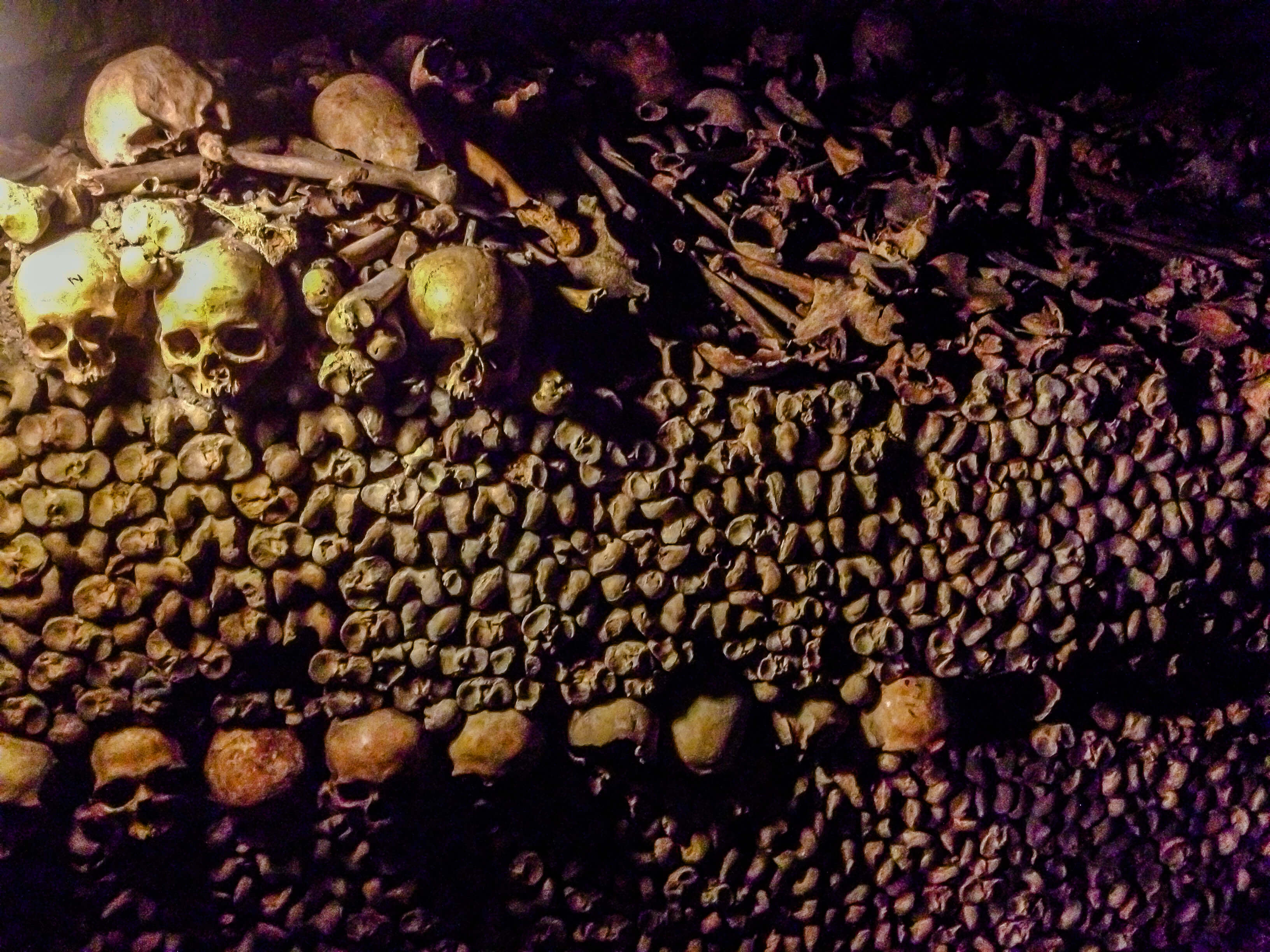 A Wall of Skulls