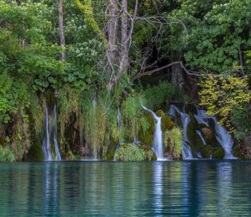 Croatian Waterfalls In Plitvice Lakes National Park
