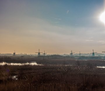 Netherlands - Windmills on the Horizon