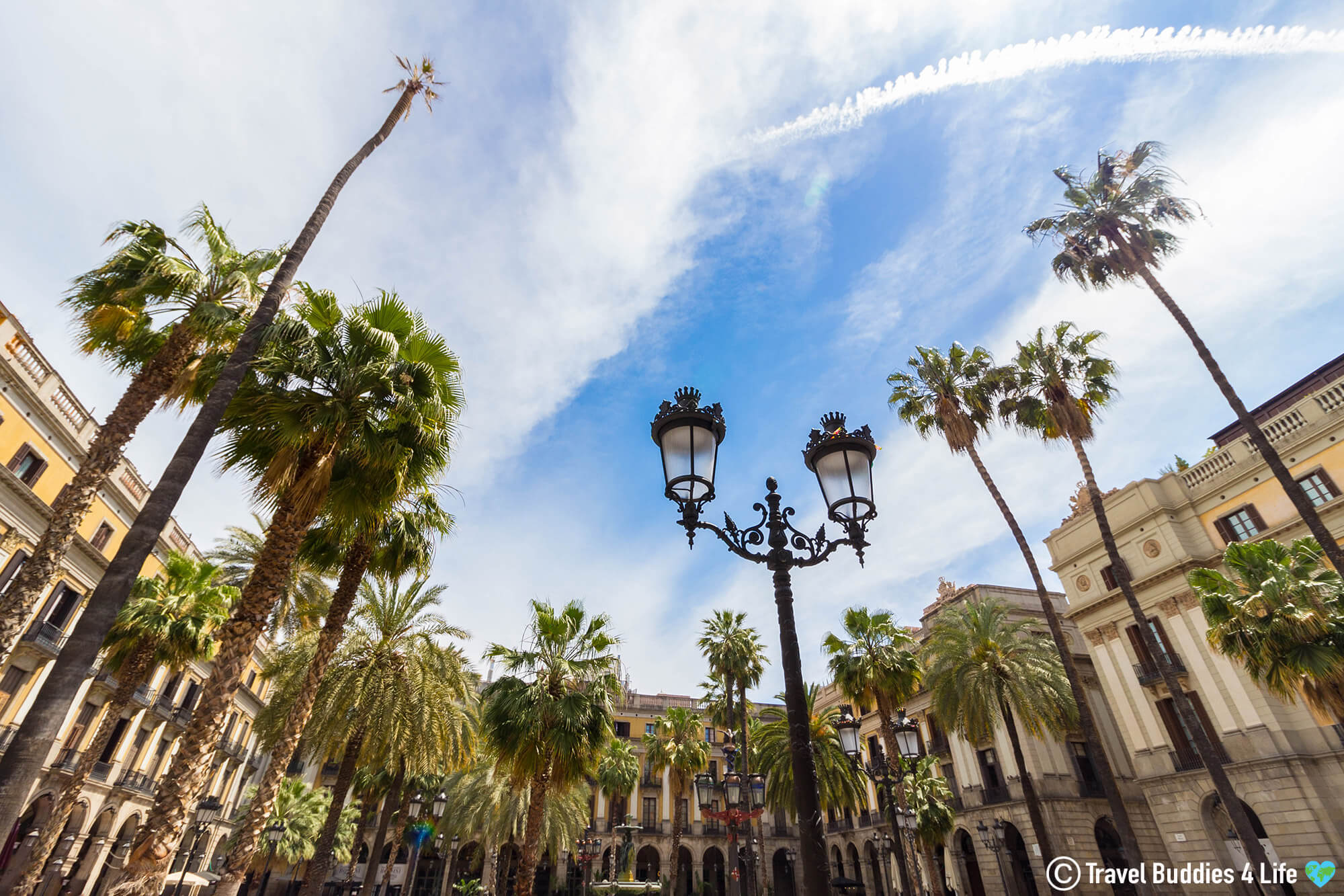 Palm Tree's of Placa Reial in the Middle of Downtown Barcelona, Spain, Europe