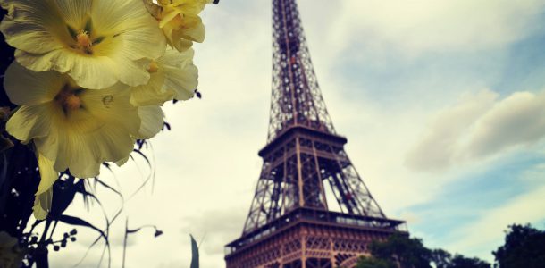 Paris Tower and Flowers