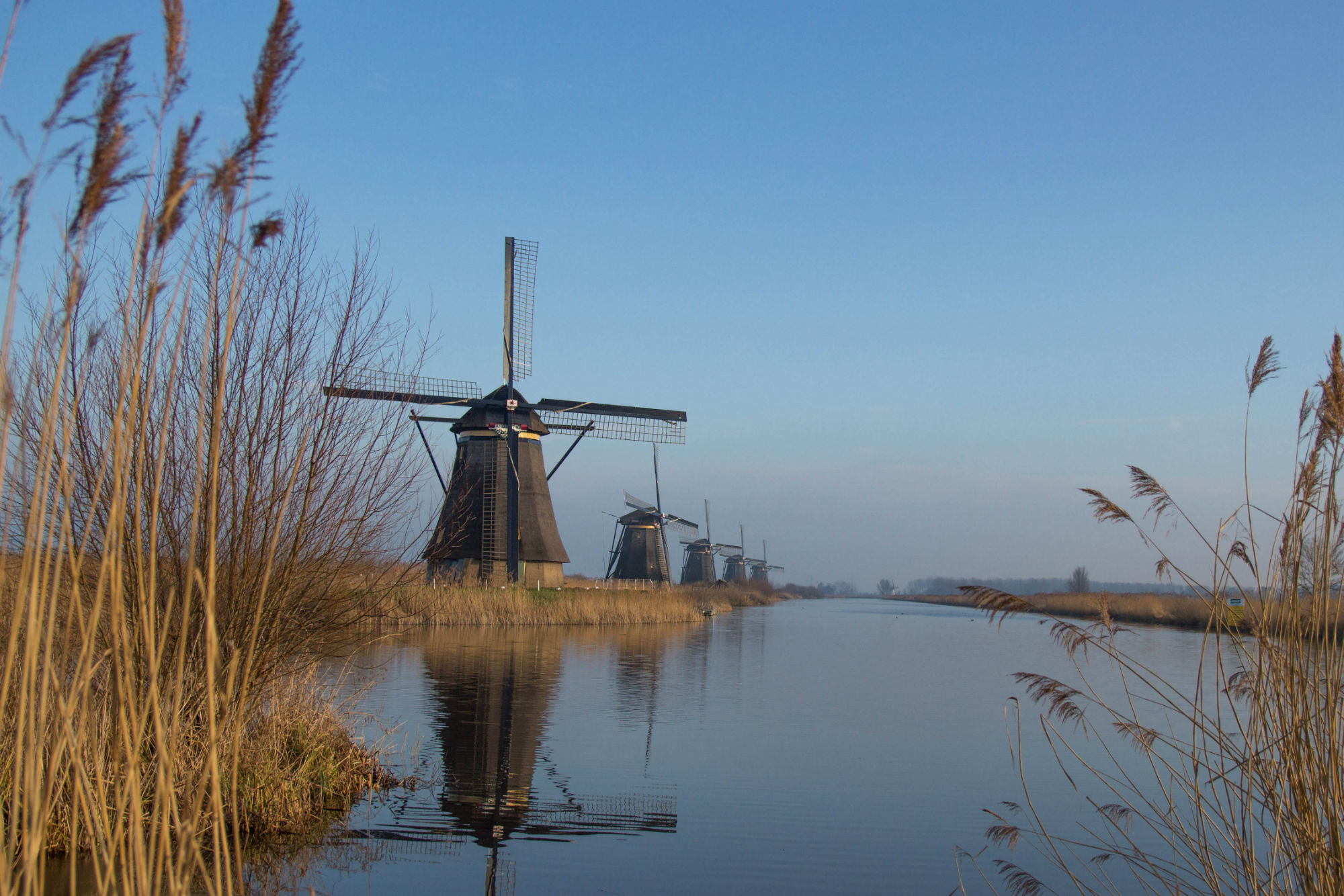 The Windmills of the Kinderdijk